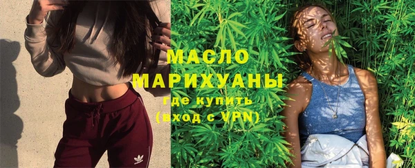 мдпв Бородино