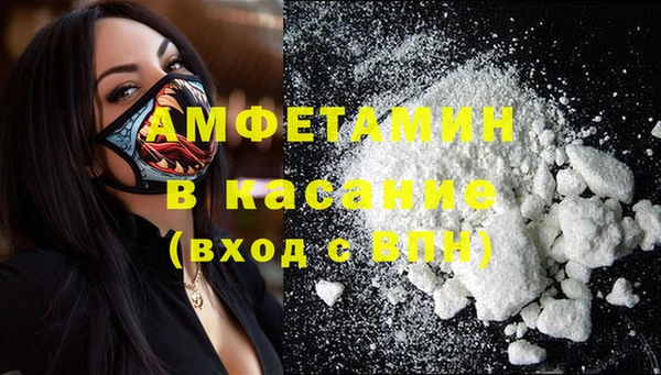 мдпв Бородино