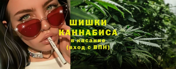 прущая мука Богородицк