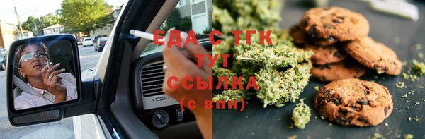 мдпв Бородино