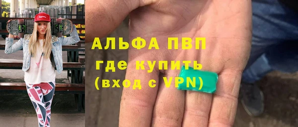 мдпв Бородино