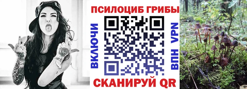 darknet телеграм  что такое   omg ссылки  Яранск  Галлюциногенные грибы Magic Shrooms 